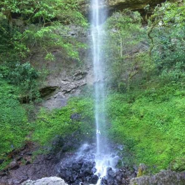 Cascada Cola de Caballo